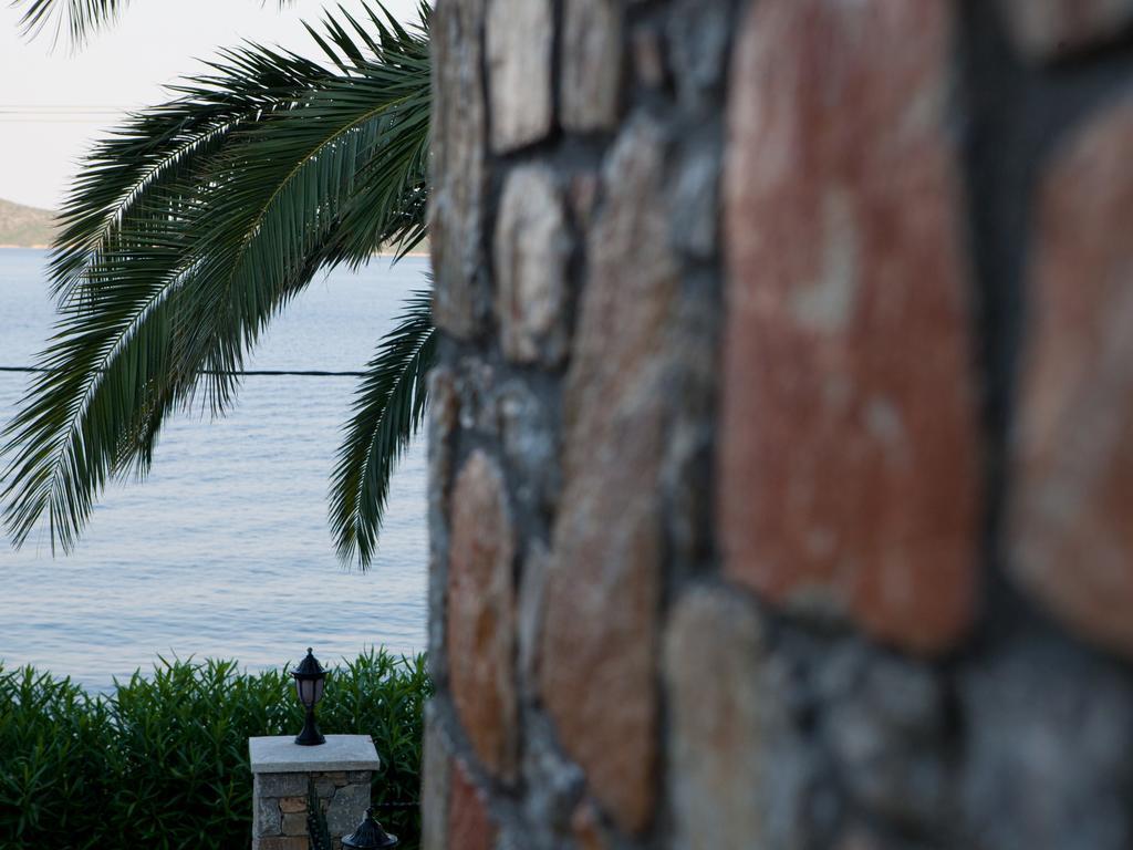 Alonissos Muses Villas Kalamakia Exterior photo